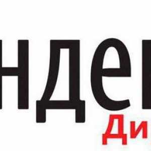 Yandex.Money: Cum aflu numărul Yandex.Koshleka?