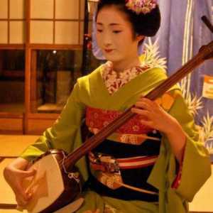 Instrumente muzicale japoneze (fotografie)