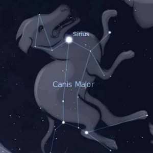 O stea strălucitoare în cer. Steaua Sirius - Alpha Big Dog