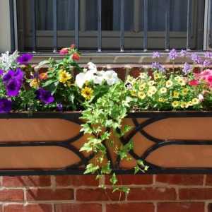 Cutii pentru flori pe balcon: o decorare luminată a fațadei