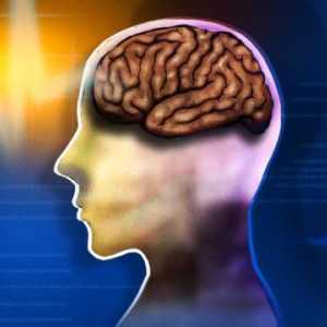 Medicamente eficiente pentru îmbunătățirea funcției creierului și a memoriei