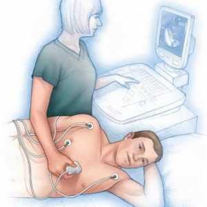 Echocardiografia - ce este? Indicare pentru numire, descrierea procedurii, indicatori
