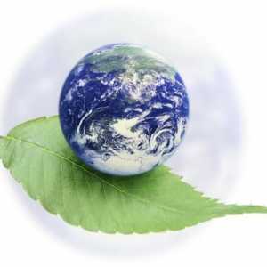 Factorul ecologic este ... Ecologie și oameni. Tipuri de factori de mediu. Clasificarea factorilor…