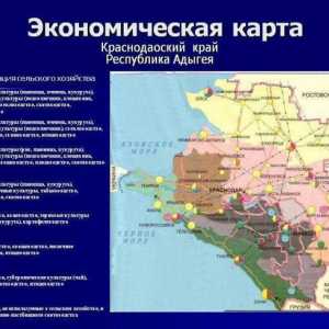 Economia regiunii Krasnodar: principalele sfere