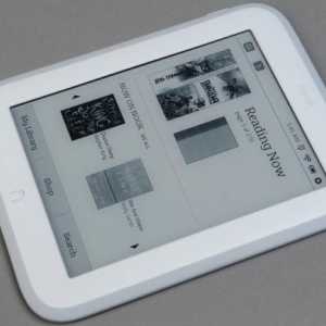 E-book PocketBook 614: recenzii