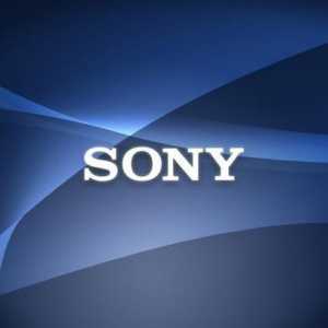 Sony e-book: specificații, descriere, recenzii, fotografii