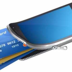 Buletine electronice pentru portofel: recenzii, avantaje și dezavantaje