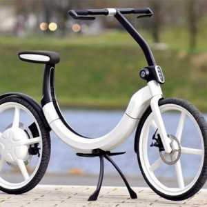 Bicicleta electrica cu mainile tale - e posibil! Cum să-ți construiești bicicleta electrică