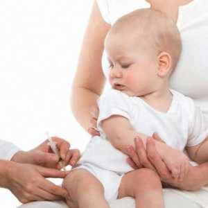 Ar trebui cunoscute toate mamele: ce vaccinuri fac copiii timp de un an?