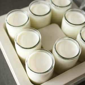 Yogurtnitsa: rețete. Cum să gătesc iaurt în iaurt: rețete