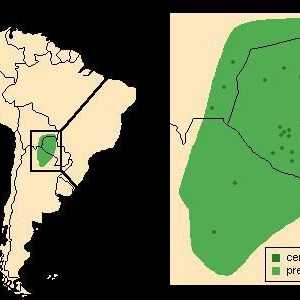 America de Sud: regiunea La Plata