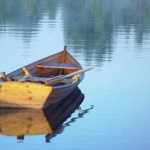 Despre ce visează barca: carte de vis