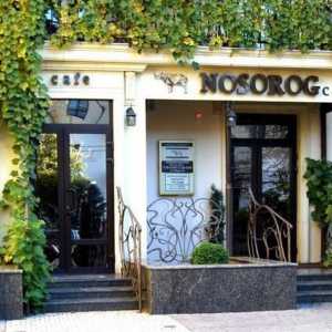 Cafe `Rhinoceros` Volgograd: adresa și recenzii