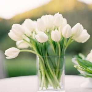 Cât timp să păstrați lalele într-o vază: modalități de a prelungi viața florilor într-un buchet