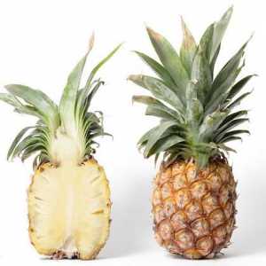 Cum sa mananci ananas sau Tot ce trebuie sa stii despre acest fruct tropical