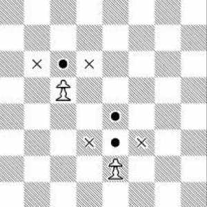 Cum se mișcă figurile de șah: trăsăturile mișcărilor