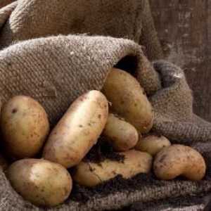 Cum se păstrează cartofii într-o pivniță: în plase, în saci, în vrac
