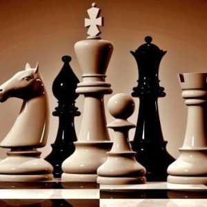 Cum să joci șah? Reguli pentru jocul de șah