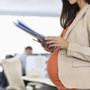 Cum se utilizează capitalul de maternitate? Capital de maternitate - ipotecă