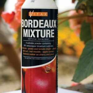 Cum se utilizează amestecul Bordeaux pentru tomate