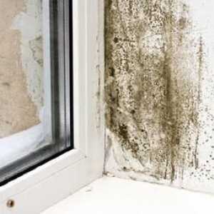 Cum să scapi de umiditate în casă: eliminați cauzele
