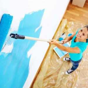Cum să pictezi un zid cu un role: sfatul unui maestru
