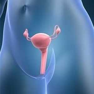 Cum se tratează eroziunea cervicală în clinică?