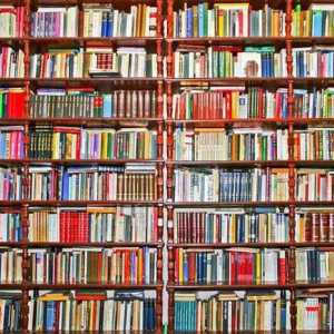 Cum să găsiți o carte în bibliotecă: recomandări pentru economisirea timpului