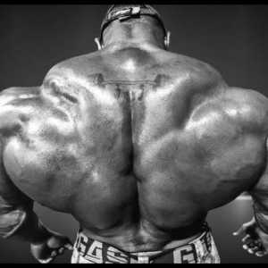 Cum să pompezi mușchii latissimus ai spatelui? exerciții
