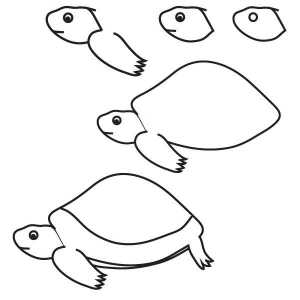 Cum de a desena o broască țestoasă: o instruire pas cu pas pentru începători