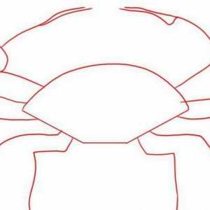 Cum de a desena un crab - instrucțiuni detaliate