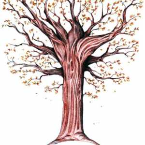 Cum de a desena un arbore de toamna în etape