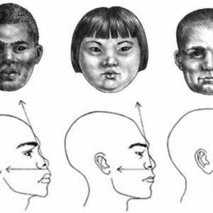 Cum să desenezi un profil de față al unei fete, al unui copil și al unui bărbat adult