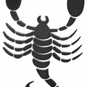 Cum de a desena un scorpion: o instruire pas-cu-pas
