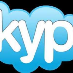 Cum se configurează un microfon în Skype - câțiva pași simpli