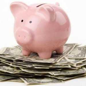 Cum să învățați să economisiți bani și să economisiți bani cu venituri modeste? Sfaturi practice