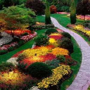 Cum să decorezi o grădină frumoasă cu mâinile tale. Cum de a decora paturile de flori cu flori