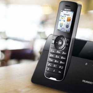 Cum pot dezactiva telefonul de la casa de la Rostelecom? De ce am nevoie de un telefon fix?