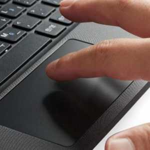 Cum să dezactivați touchpad-ul pe un laptop?