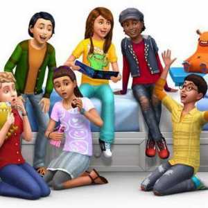 Cum se deschide consola în "The Sims 4": descriere pas cu pas, coduri și recomandări