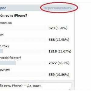 Cum se re-votează în interviul "VKontakte": instrucțiuni