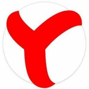 Cum pot curata cache-ul browserului Yandex? Ce este stocat în memoria cache și unde este localizată?