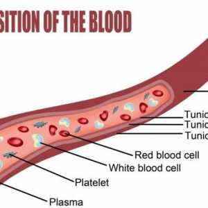 Cum de a reduce trombocitele din sânge?