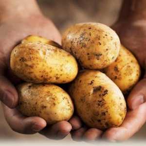 Cât de corect să calculați, câte kilograme de cartofi într-o găleată?