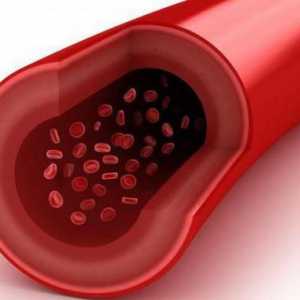 Cât de corect trebuie să predați un sânge pe colesterol și glucoză?