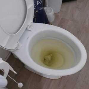 Cum să curățați toaleta de colmatare?