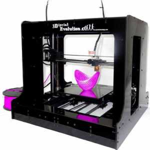 Cum funcționează o imprimantă 3D? Produse pe o imprimantă 3D