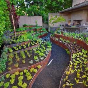 Cum să planificați o grădină și o grădină?