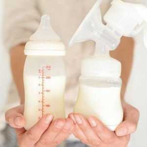 Cum se exprimă laptele matern și mâinile materne: instrucțiuni