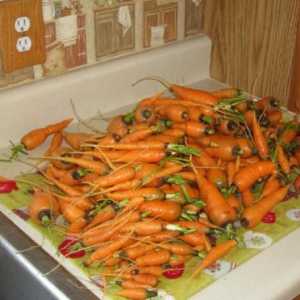 Cum să păstreze morcovii în pivniță până în primăvară?